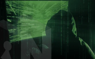 Fraud Analyst