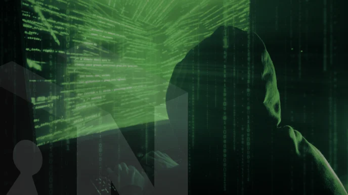 Fraud Analyst