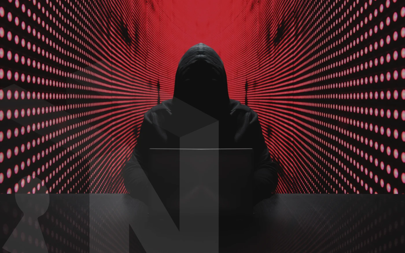 disappear from the internet